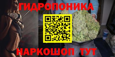кокс Лесосибирск