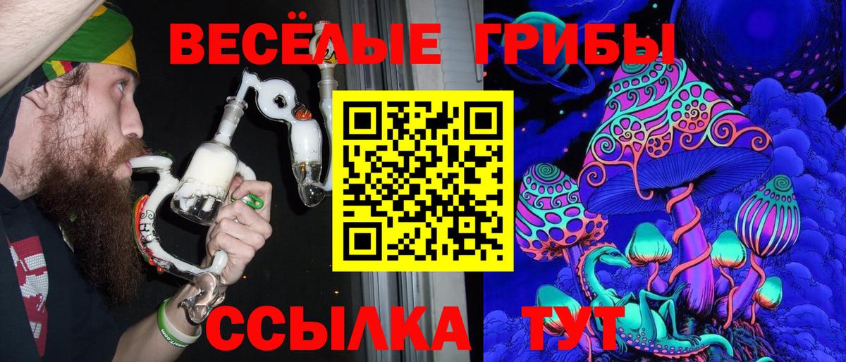 Псилоцибиновые грибы прущие грибы Вятские Поляны