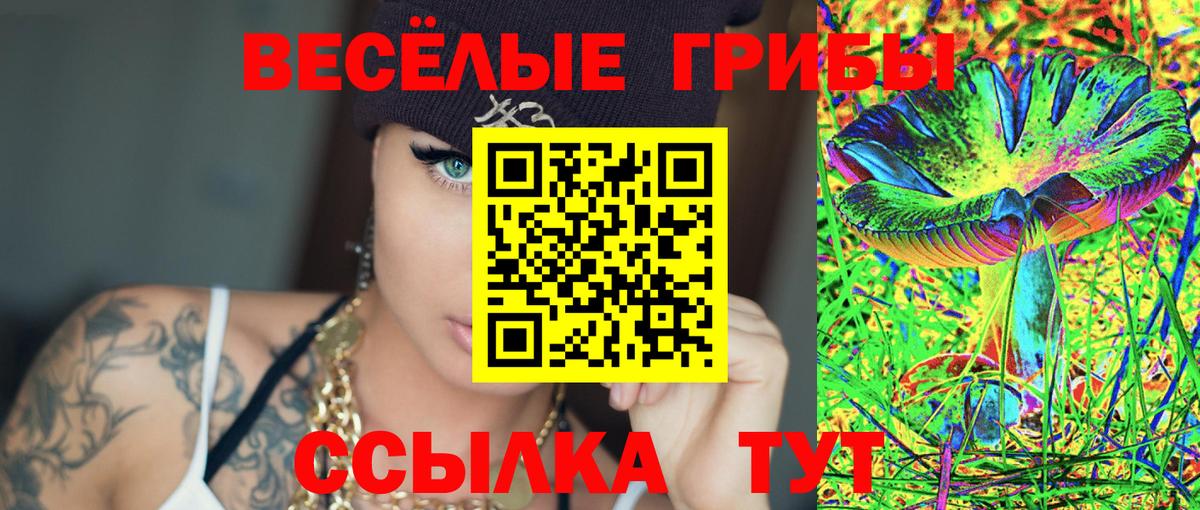 Вятские Поляны  Псилоцибиновые грибы MAGIC MUSHROOMS  Вход с VPN 